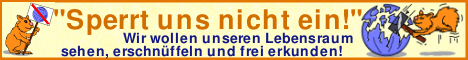Leben ohne Joggingball